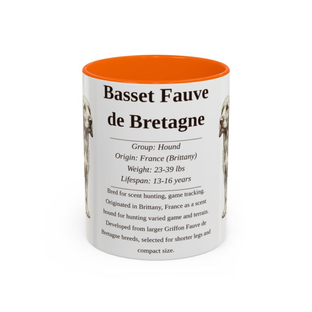 basset-fauve-de-bretagne-mug-writeup-orange-1 11oz Basset Fauve de Bretagne Mug, Illustrated Dog Breed Facts Coffee Mug, Vintage Dog Keepsake Gift