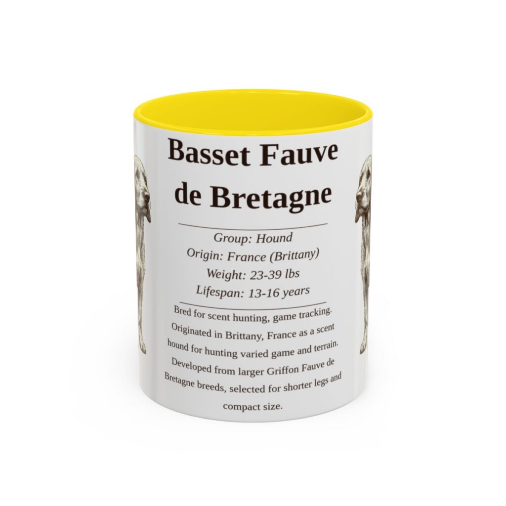 basset-fauve-de-bretagne-mug-writeup-yellow-1 11oz Basset Fauve de Bretagne Mug, Illustrated Dog Breed Facts Coffee Mug, Vintage Dog Keepsake Gift