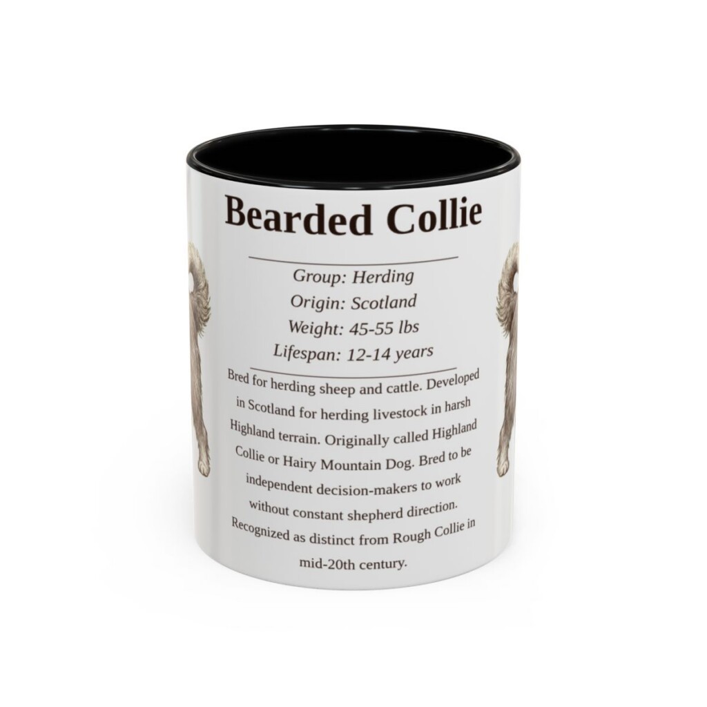 11oz Bearded Collie Mug, Illustrated Dog Breed Facts Coffee Mug, Vintage Dog Keepsake Gift