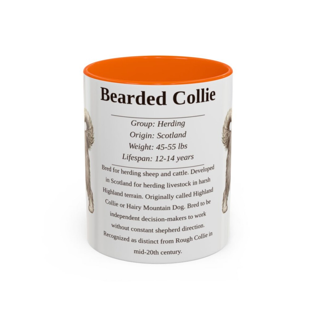 11oz Bearded Collie Mug, Illustrated Dog Breed Facts Coffee Mug, Vintage Dog Keepsake Gift