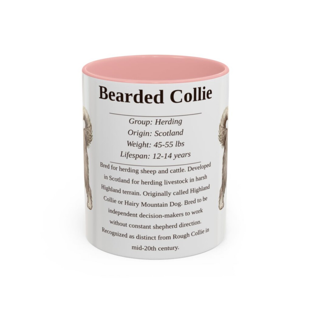11oz Bearded Collie Mug, Illustrated Dog Breed Facts Coffee Mug, Vintage Dog Keepsake Gift