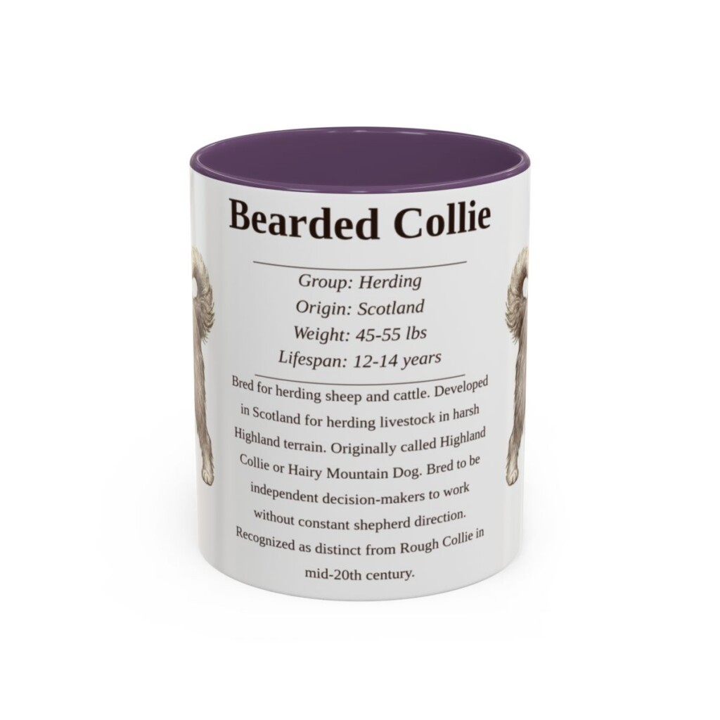 11oz Bearded Collie Mug, Illustrated Dog Breed Facts Coffee Mug, Vintage Dog Keepsake Gift