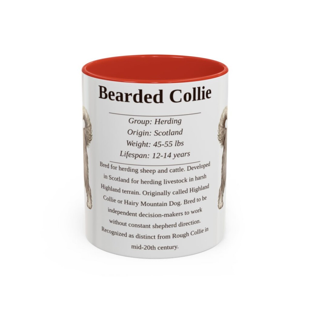 11oz Bearded Collie Mug, Illustrated Dog Breed Facts Coffee Mug, Vintage Dog Keepsake Gift