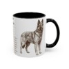 11oz Belgian Sheepdog Mug, Illustrated Dog Breed Facts Coffee Mug, Vintage Dog Keepsake Gift