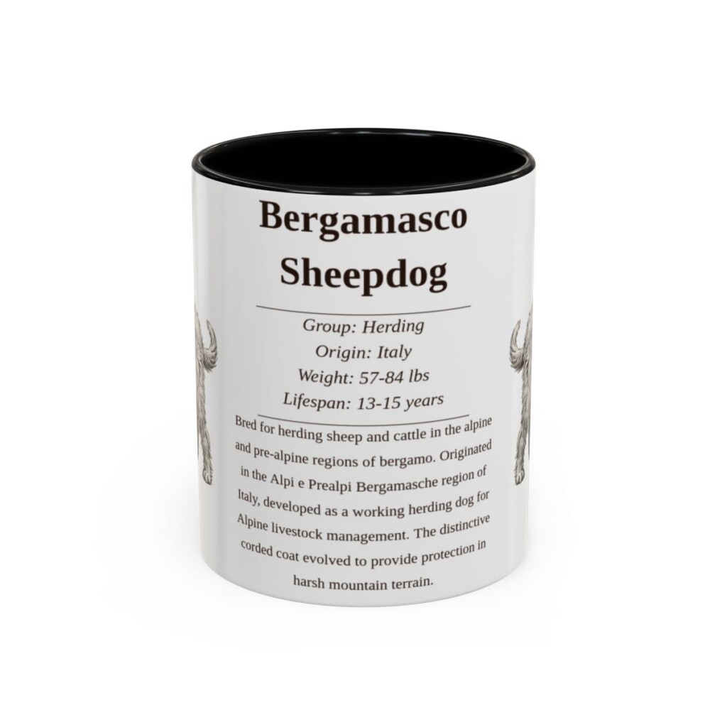 bergamasco-sheepdog-mug-writeup-black-front-1 11oz Bergamasco Sheepdog Mug, Illustrated Dog Breed Facts Coffee Mug, Vintage Dog Keepsake Gift