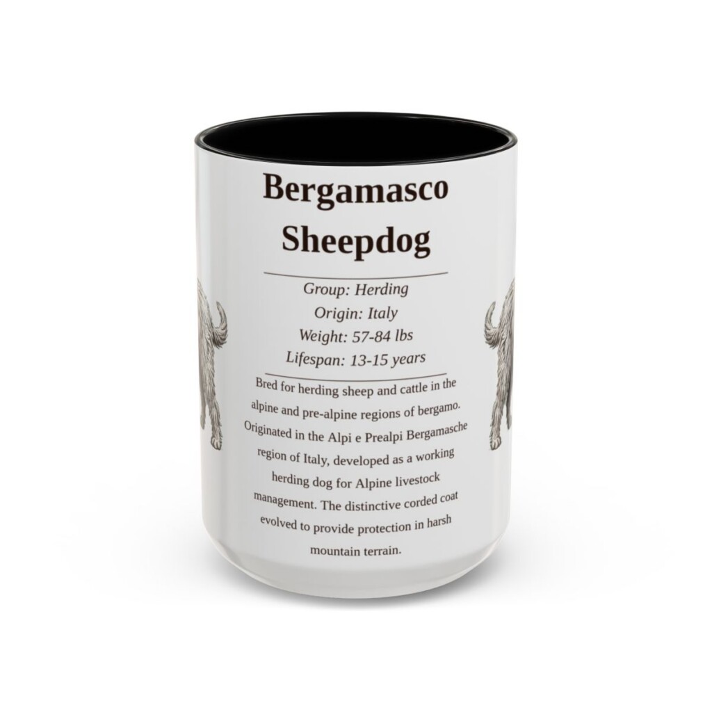 15oz Bergamasco Sheepdog Mug, Illustrated Dog Breed Facts Coffee Mug, Vintage Dog Keepsake Gift