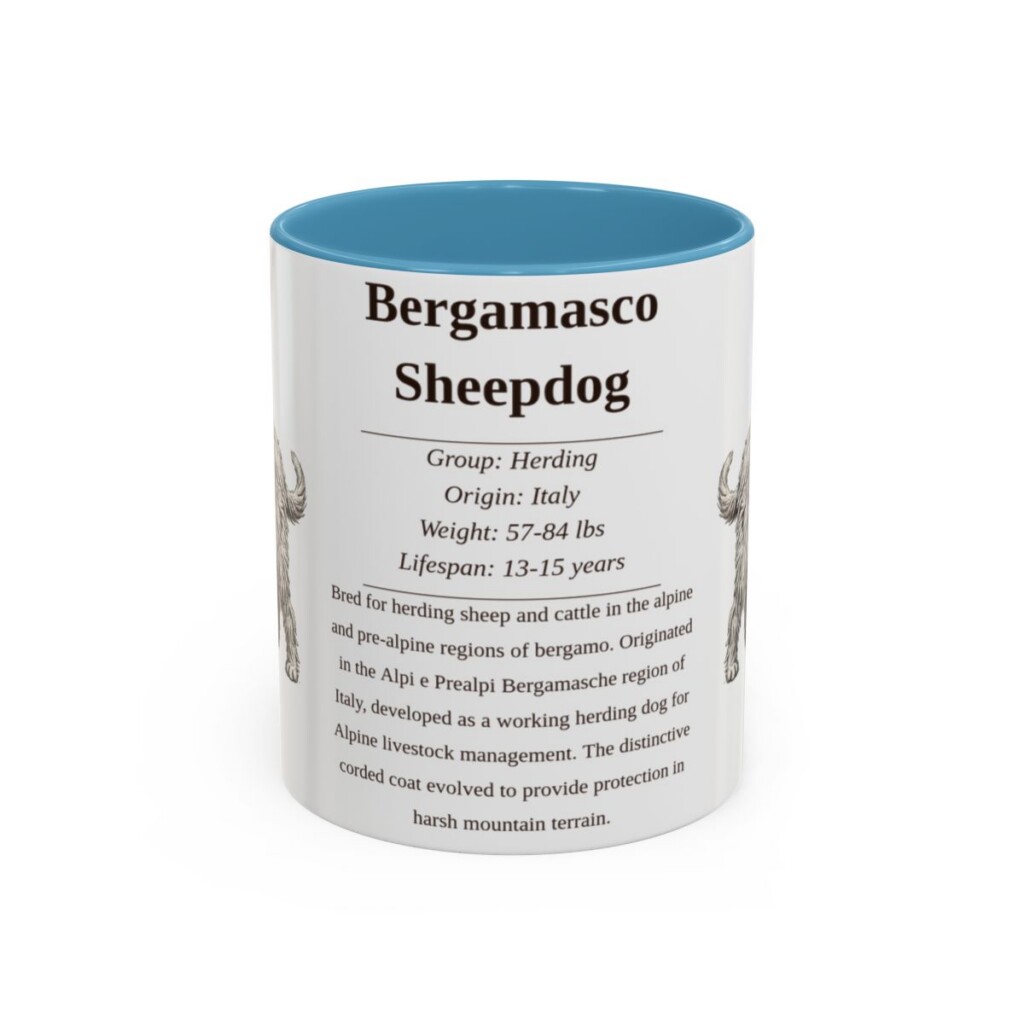 bergamasco-sheepdog-mug-writeup-light-blue-1 11oz Bergamasco Sheepdog Mug, Illustrated Dog Breed Facts Coffee Mug, Vintage Dog Keepsake Gift