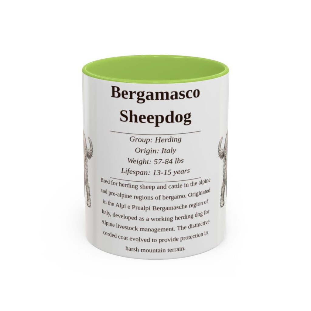 bergamasco-sheepdog-mug-writeup-light-green-1 11oz Bergamasco Sheepdog Mug, Illustrated Dog Breed Facts Coffee Mug, Vintage Dog Keepsake Gift