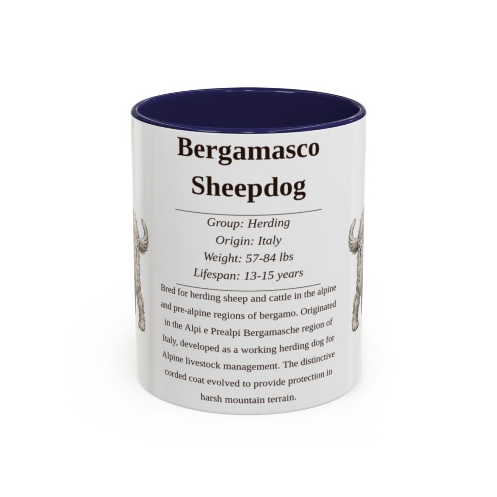 bergamasco-sheepdog-mug-writeup-navy-1 11oz Bergamasco Sheepdog Mug, Illustrated Dog Breed Facts Coffee Mug, Vintage Dog Keepsake Gift