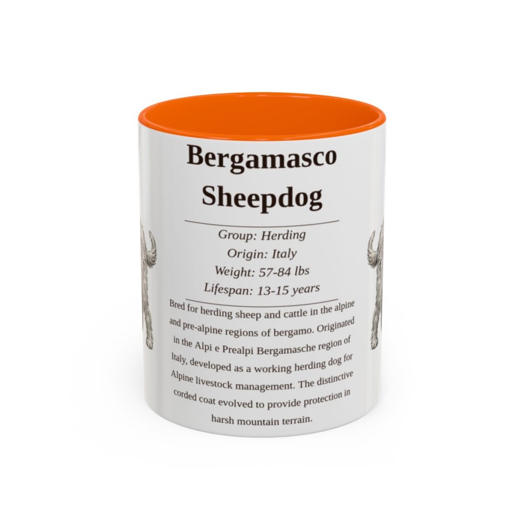 bergamasco-sheepdog-mug-writeup-orange-1 11oz Bergamasco Sheepdog Mug, Illustrated Dog Breed Facts Coffee Mug, Vintage Dog Keepsake Gift