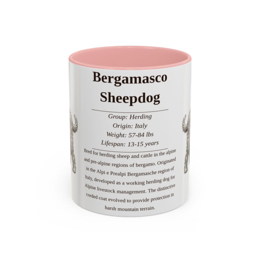 bergamasco-sheepdog-mug-writeup-pink-1 11oz Bergamasco Sheepdog Mug, Illustrated Dog Breed Facts Coffee Mug, Vintage Dog Keepsake Gift