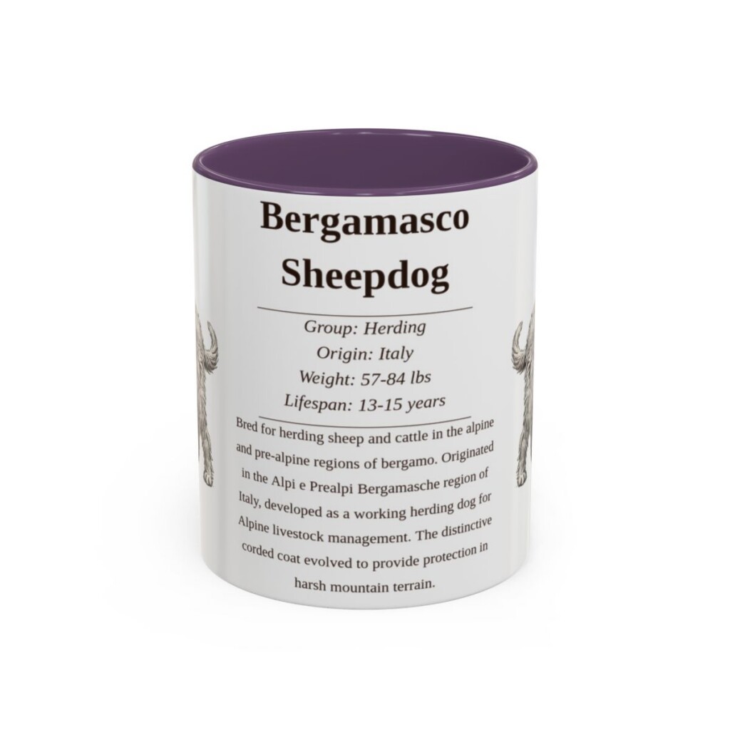 bergamasco-sheepdog-mug-writeup-purple-1 11oz Bergamasco Sheepdog Mug, Illustrated Dog Breed Facts Coffee Mug, Vintage Dog Keepsake Gift