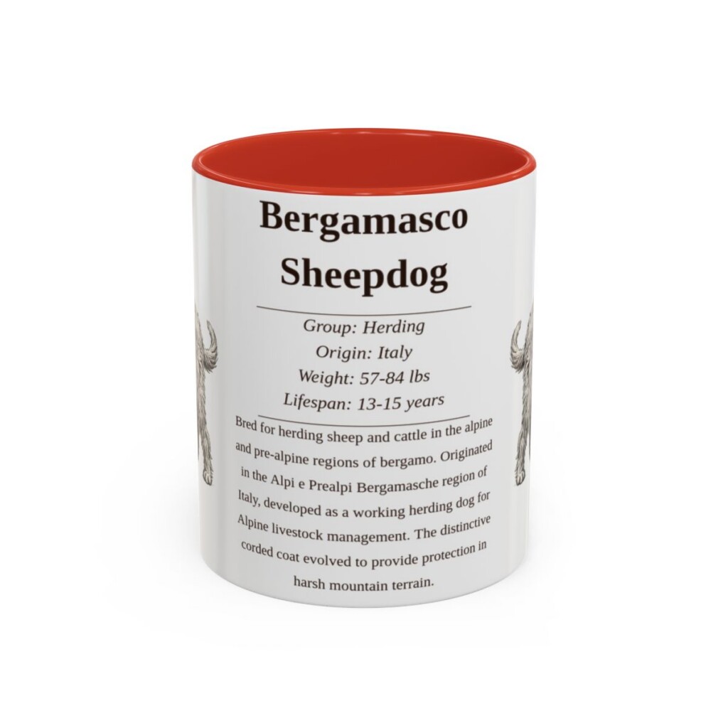 bergamasco-sheepdog-mug-writeup-red-1 11oz Bergamasco Sheepdog Mug, Illustrated Dog Breed Facts Coffee Mug, Vintage Dog Keepsake Gift