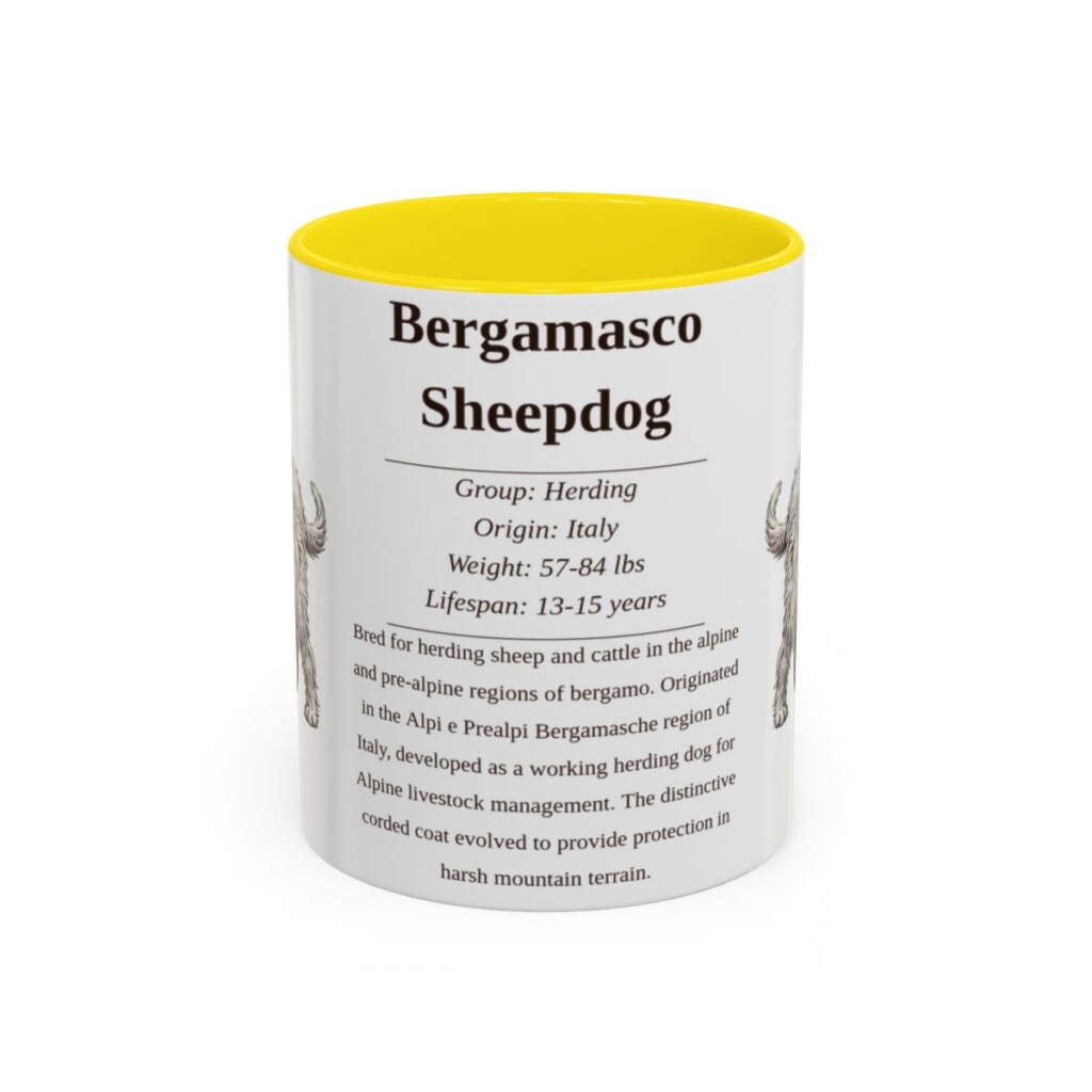 bergamasco-sheepdog-mug-writeup-yellow-1 11oz Bergamasco Sheepdog Mug, Illustrated Dog Breed Facts Coffee Mug, Vintage Dog Keepsake Gift