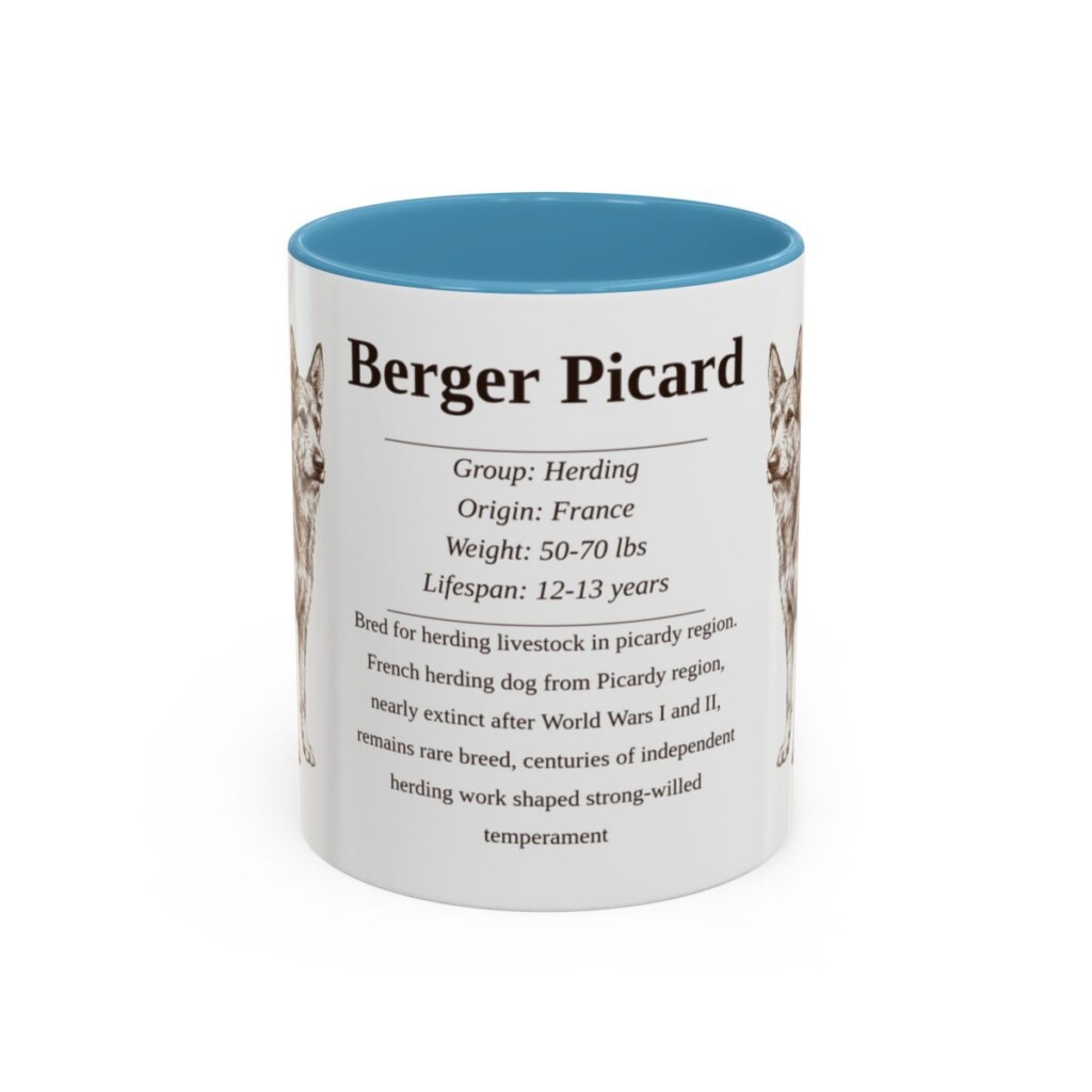 berger-picard-mug-writeup-light-blue-1 11oz Berger Picard Mug, Illustrated Dog Breed Facts Coffee Mug, Vintage Dog Keepsake Gift