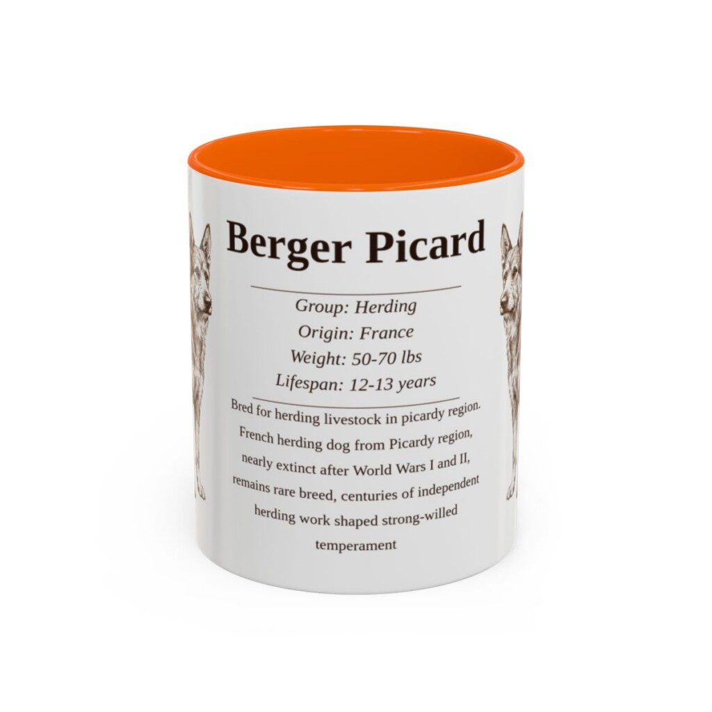 berger-picard-mug-writeup-orange-1 11oz Berger Picard Mug, Illustrated Dog Breed Facts Coffee Mug, Vintage Dog Keepsake Gift