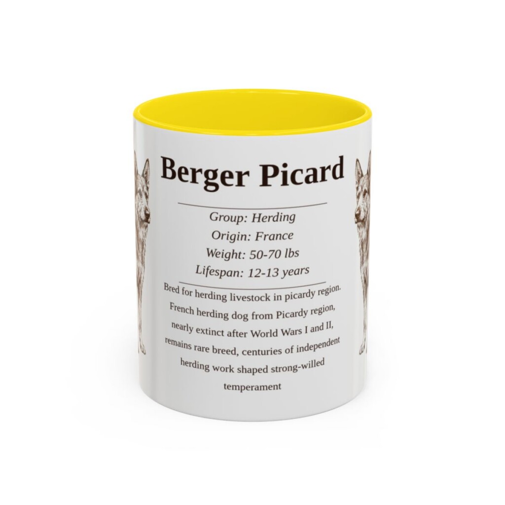 berger-picard-mug-writeup-yellow-1 11oz Berger Picard Mug, Illustrated Dog Breed Facts Coffee Mug, Vintage Dog Keepsake Gift