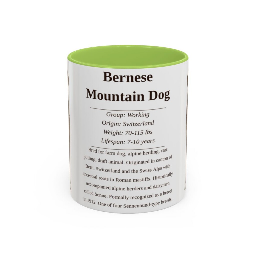 bernese-mountain-dog-mug-writeup-light-green-1 11oz Bernese Mountain Dog Mug, Illustrated Dog Breed Facts Coffee Mug, Vintage Dog Keepsake Gift