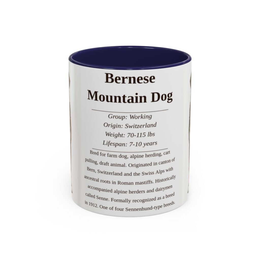 bernese-mountain-dog-mug-writeup-navy-1 11oz Bernese Mountain Dog Mug, Illustrated Dog Breed Facts Coffee Mug, Vintage Dog Keepsake Gift