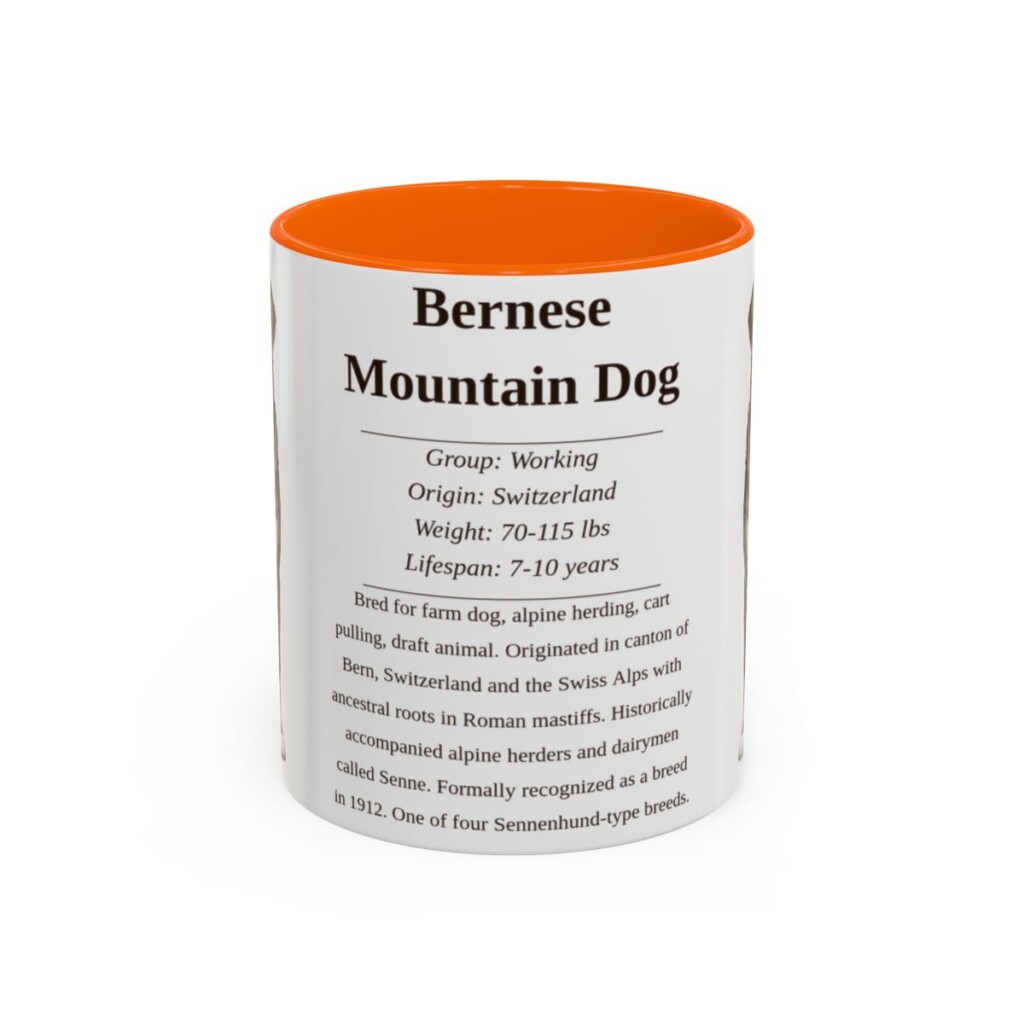 bernese-mountain-dog-mug-writeup-orange-1 11oz Bernese Mountain Dog Mug, Illustrated Dog Breed Facts Coffee Mug, Vintage Dog Keepsake Gift