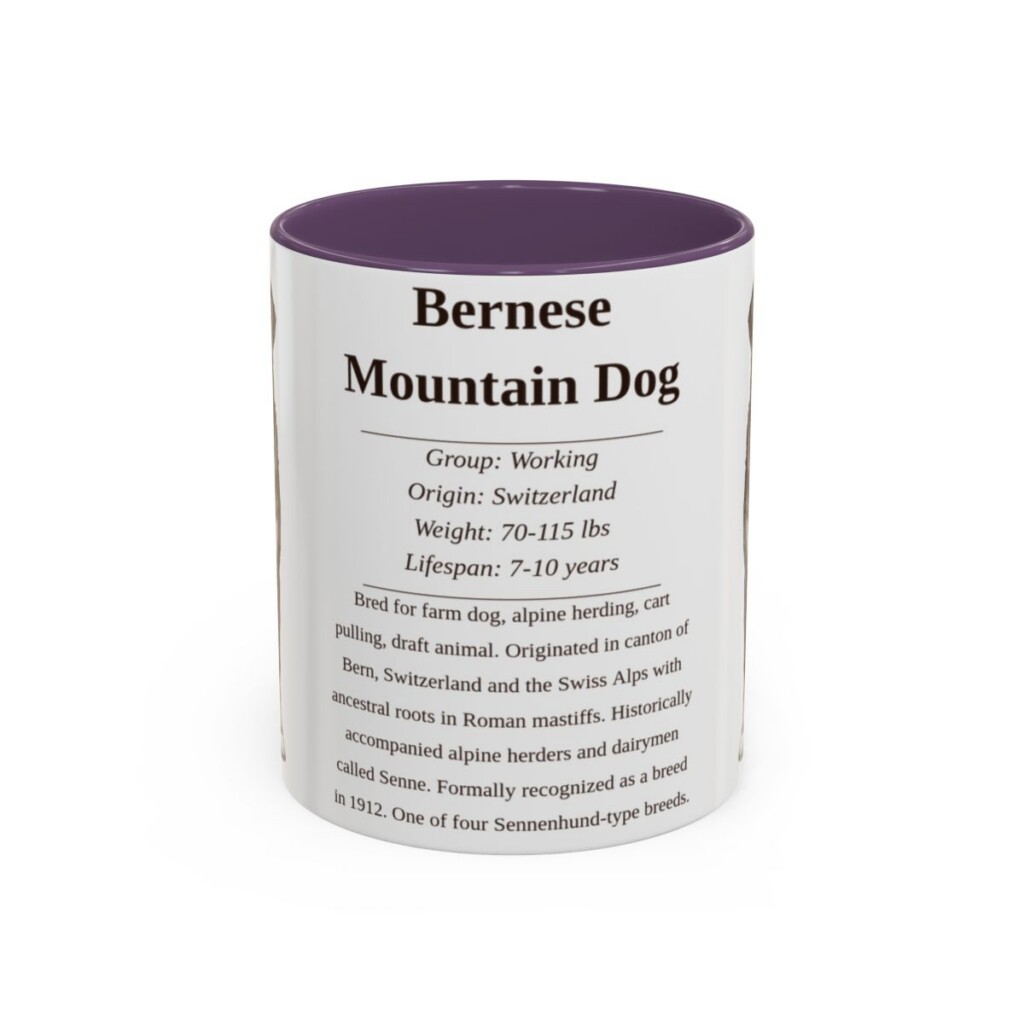 bernese-mountain-dog-mug-writeup-purple-1 11oz Bernese Mountain Dog Mug, Illustrated Dog Breed Facts Coffee Mug, Vintage Dog Keepsake Gift