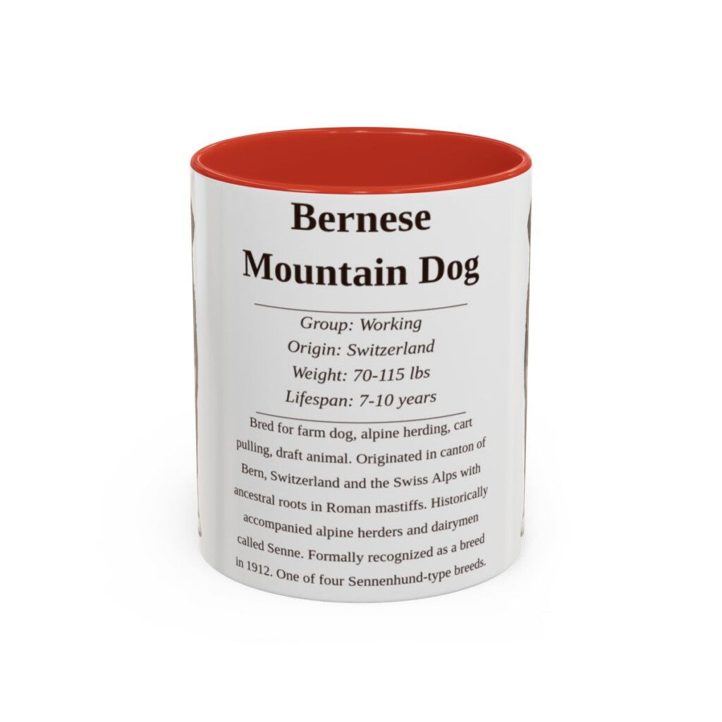 bernese-mountain-dog-mug-writeup-red-1 11oz Bernese Mountain Dog Mug, Illustrated Dog Breed Facts Coffee Mug, Vintage Dog Keepsake Gift
