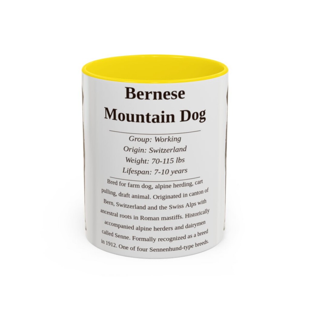 bernese-mountain-dog-mug-writeup-yellow-1 11oz Bernese Mountain Dog Mug, Illustrated Dog Breed Facts Coffee Mug, Vintage Dog Keepsake Gift
