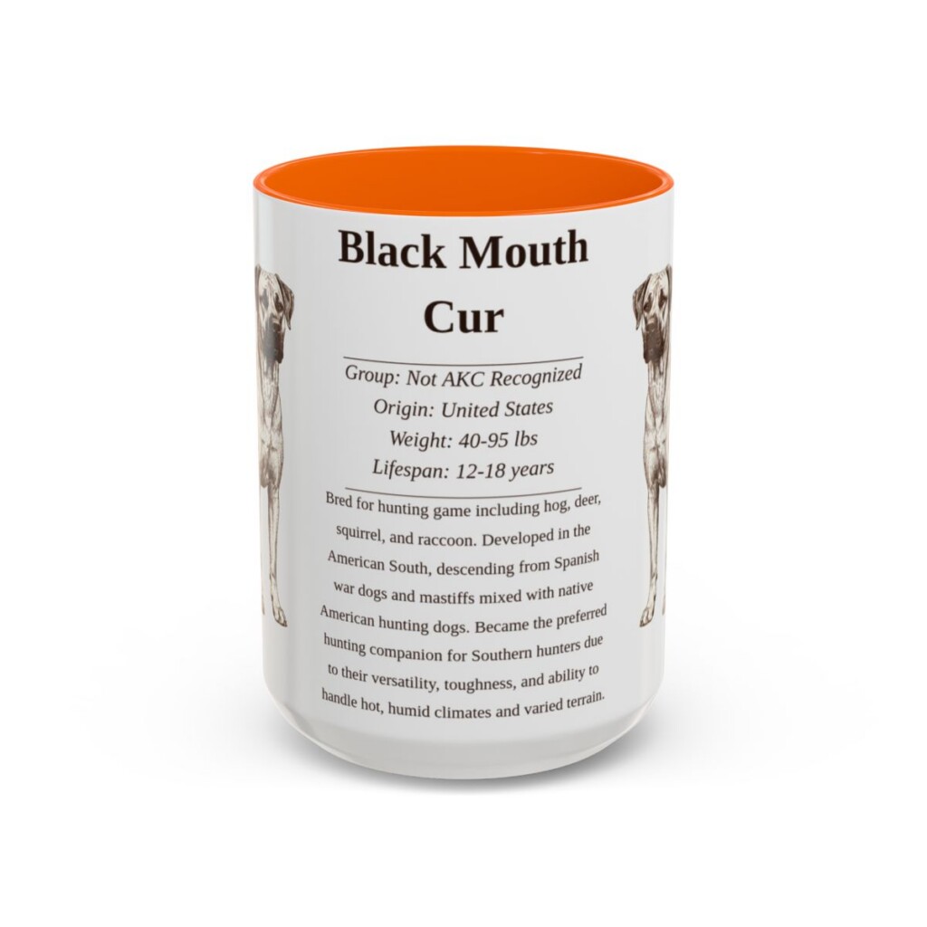15oz Black Mouth Cur Mug, Illustrated Dog Breed Facts Coffee Mug, Vintage Dog Keepsake Gift