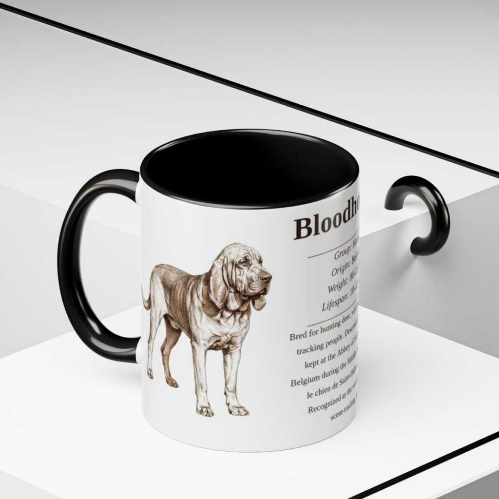 11oz Bloodhound Mug, Illustrated Dog Breed Facts Coffee Mug, Vintage Dog Keepsake Gift