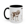 11oz Bloodhound Mug, Illustrated Dog Breed Facts Coffee Mug, Vintage Dog Keepsake Gift