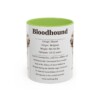 11oz Bloodhound Mug, Illustrated Dog Breed Facts Coffee Mug, Vintage Dog Keepsake Gift