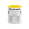 11oz Bloodhound Mug, Illustrated Dog Breed Facts Coffee Mug, Vintage Dog Keepsake Gift