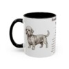 11oz Dandie Dinmont Terrier Mug, Illustrated Dog Breed Facts Coffee Mug, Vintage Dog Keepsake Gift