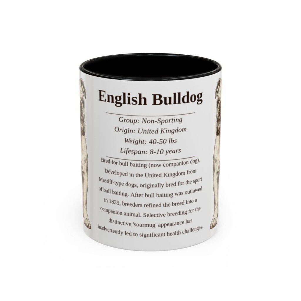 11oz English Bulldog Mug, Illustrated Dog Breed Facts Coffee Mug, Vintage Dog Keepsake Gift