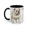 11oz English Bulldog Mug, Illustrated Dog Breed Facts Coffee Mug, Vintage Dog Keepsake Gift