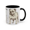 11oz English Bulldog Mug, Illustrated Dog Breed Facts Coffee Mug, Vintage Dog Keepsake Gift