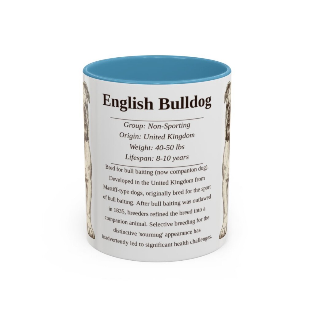 11oz English Bulldog Mug, Illustrated Dog Breed Facts Coffee Mug, Vintage Dog Keepsake Gift