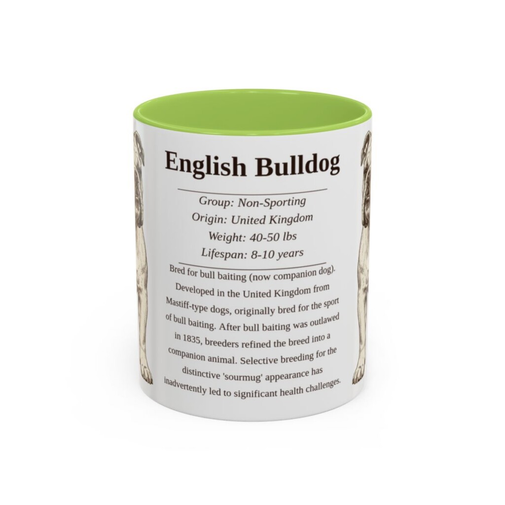 11oz English Bulldog Mug, Illustrated Dog Breed Facts Coffee Mug, Vintage Dog Keepsake Gift