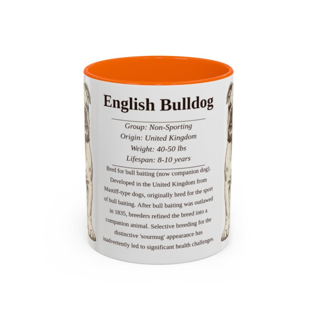 11oz English Bulldog Mug, Illustrated Dog Breed Facts Coffee Mug, Vintage Dog Keepsake Gift