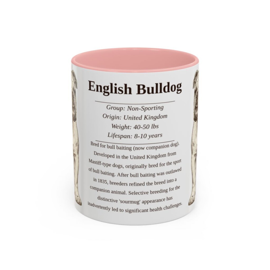 11oz English Bulldog Mug, Illustrated Dog Breed Facts Coffee Mug, Vintage Dog Keepsake Gift