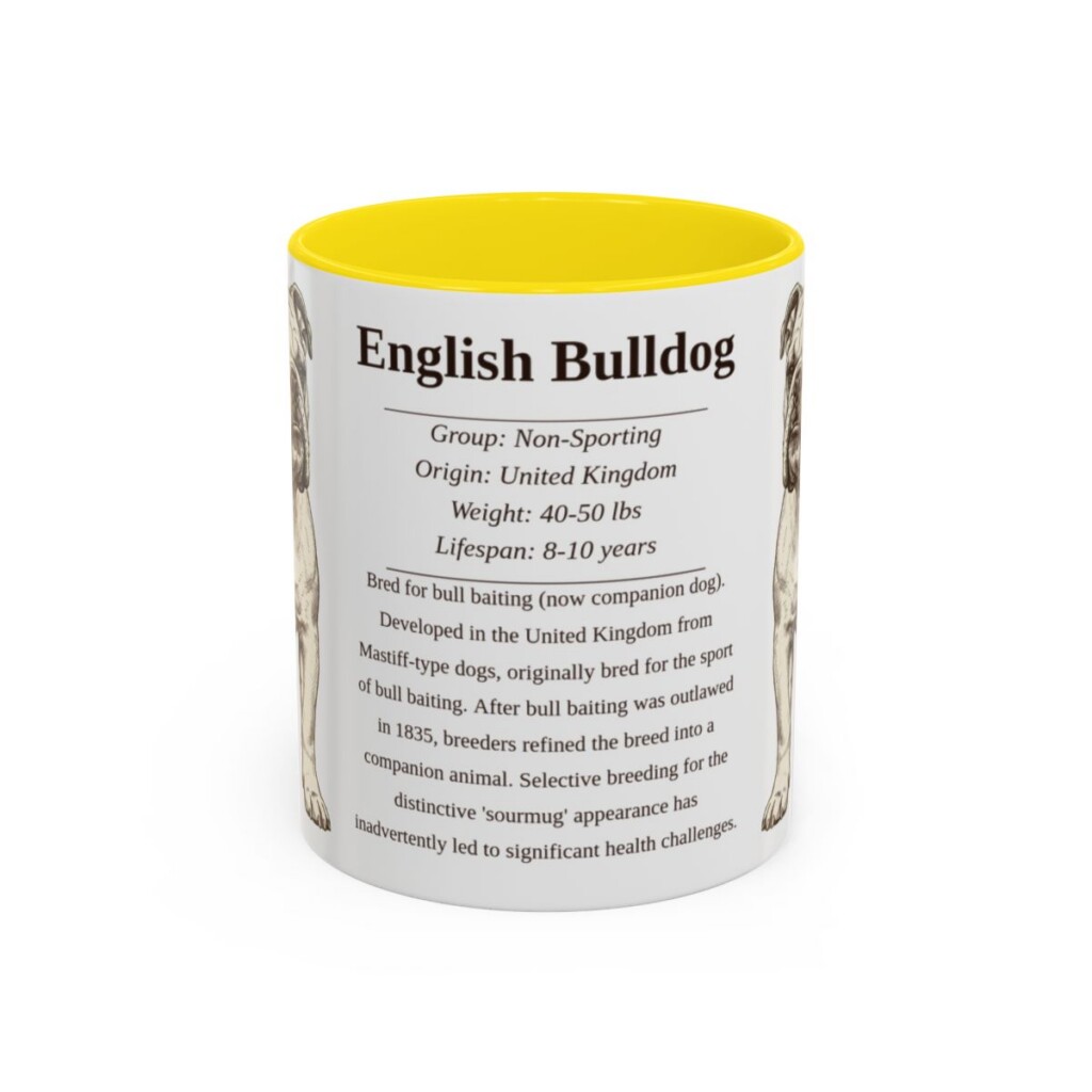 11oz English Bulldog Mug, Illustrated Dog Breed Facts Coffee Mug, Vintage Dog Keepsake Gift