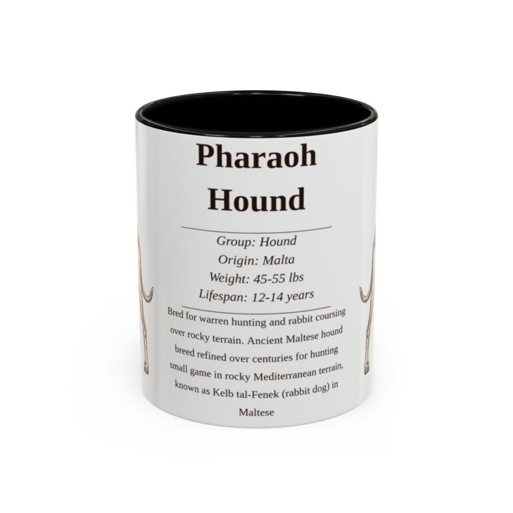 11oz Pharaoh Hound Mug, Illustrated Dog Breed Facts Coffee Mug, Vintage Dog Keepsake Gift