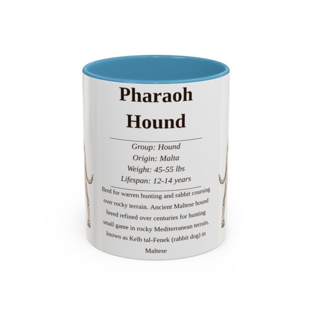 11oz Pharaoh Hound Mug, Illustrated Dog Breed Facts Coffee Mug, Vintage Dog Keepsake Gift