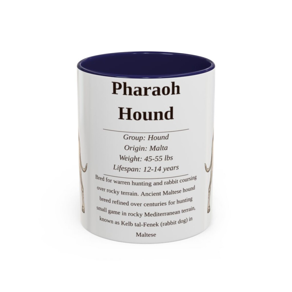 11oz Pharaoh Hound Mug, Illustrated Dog Breed Facts Coffee Mug, Vintage Dog Keepsake Gift