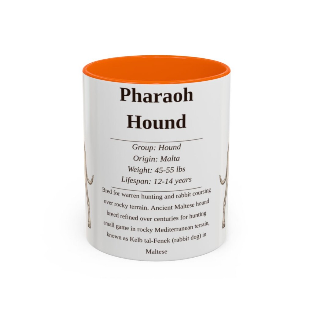 11oz Pharaoh Hound Mug, Illustrated Dog Breed Facts Coffee Mug, Vintage Dog Keepsake Gift