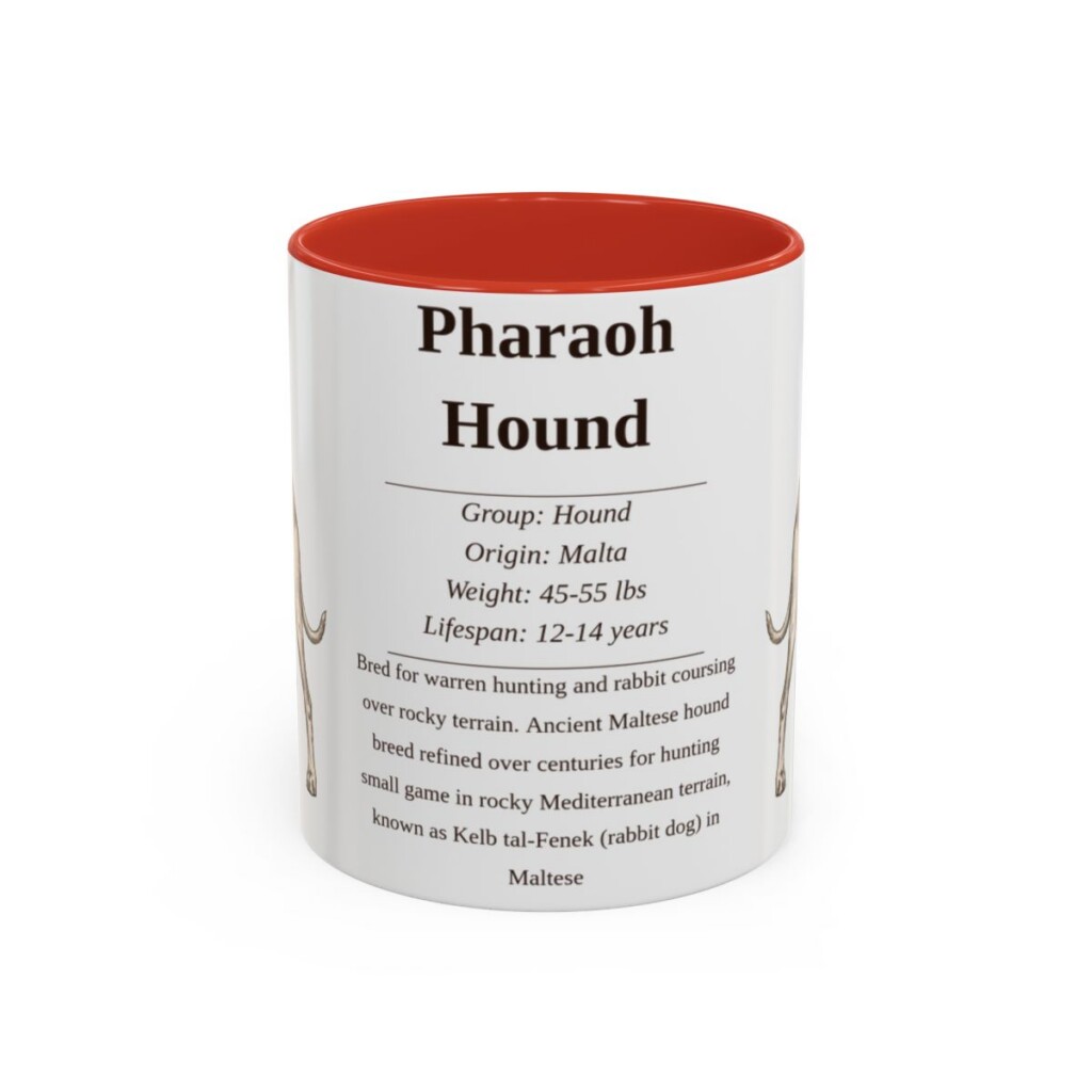 11oz Pharaoh Hound Mug, Illustrated Dog Breed Facts Coffee Mug, Vintage Dog Keepsake Gift