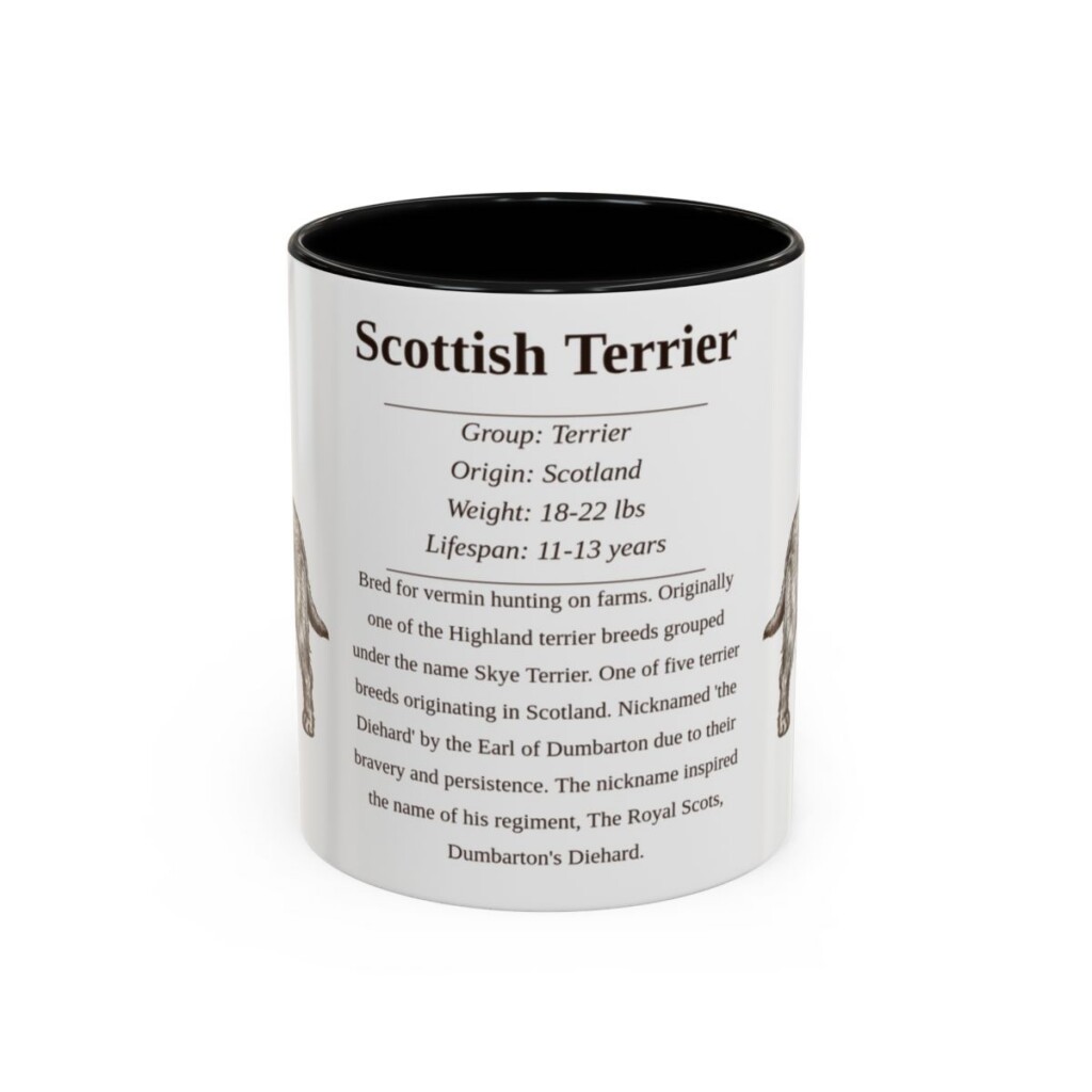 11oz Scottish Terrier Mug, Illustrated Dog Breed Facts Coffee Mug, Vintage Dog Keepsake Gift