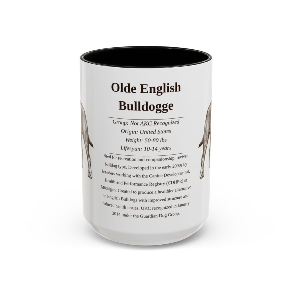 10137479364365529535_2048.jpeg 15oz Olde English Bulldogge Mug, Illustrated Dog Breed Facts Coffee Mug, Vintage Dog Keepsake Gift