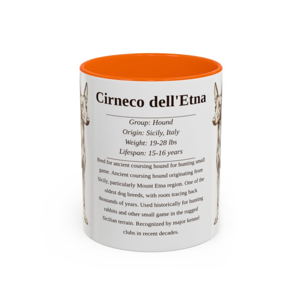 11oz Cirneco dell'Etna Mug, Orange, front view