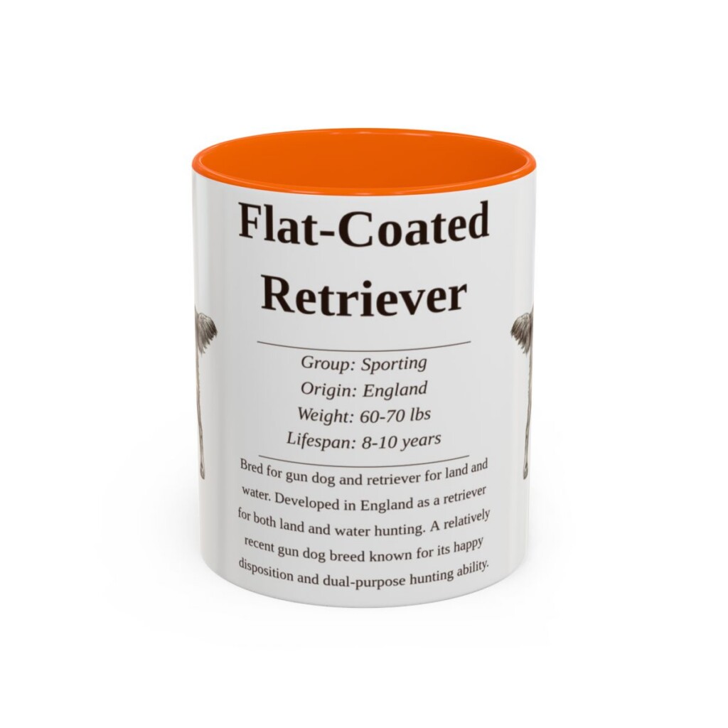 11oz flat coated retriever mug, Orange